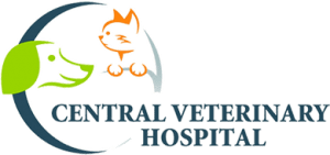 Central Veterinary Hospital