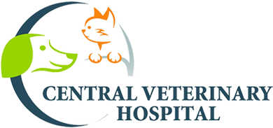 Central Veterinary Hospital | Knoxville Veterinarians and Animal Hospital